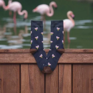 FLAMINGOS